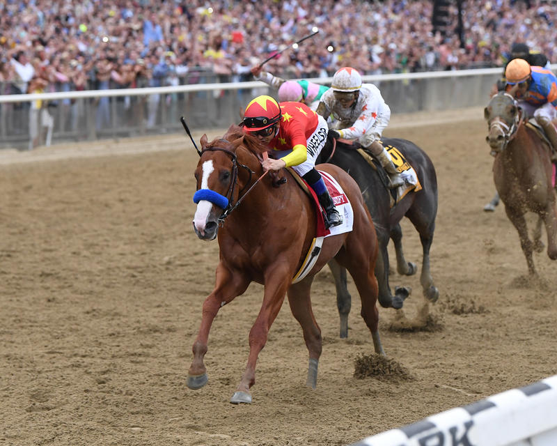 Belmont Stakes 2015 Seating Chart