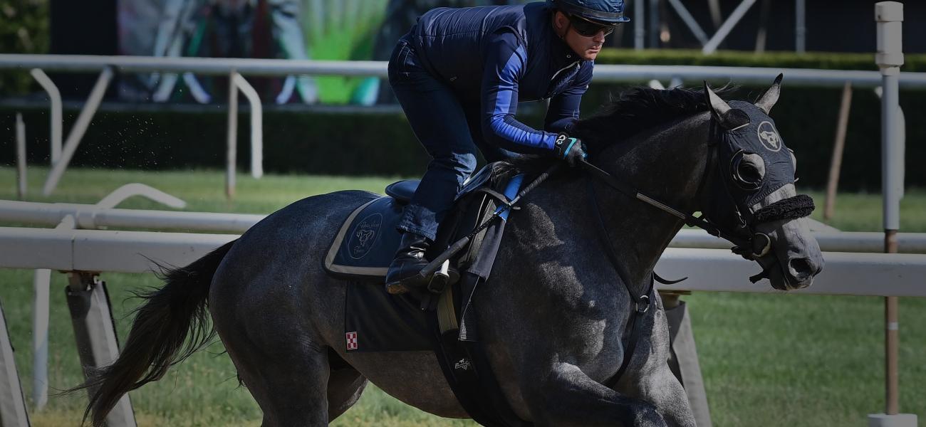 Home | Saturday, June 10, 2023 | Belmont Stakes