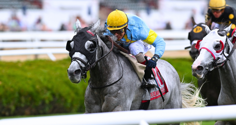 ​The Grey Wizard wins all-gray three-way photo in G2 Belmont Gold Cup