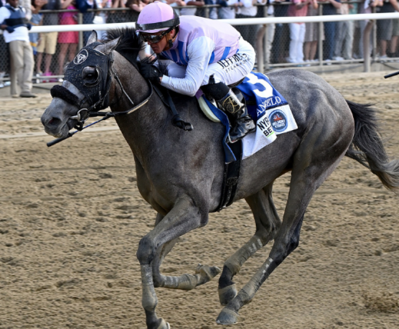 News Belmont Stakes