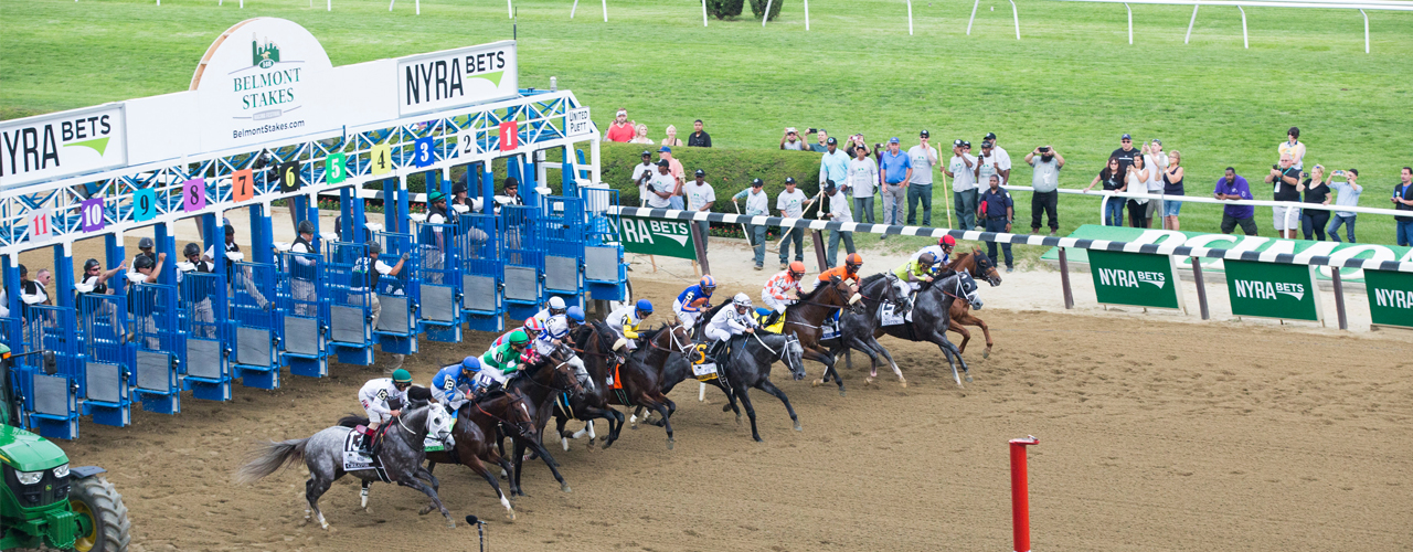 Horses Belmont Stakes