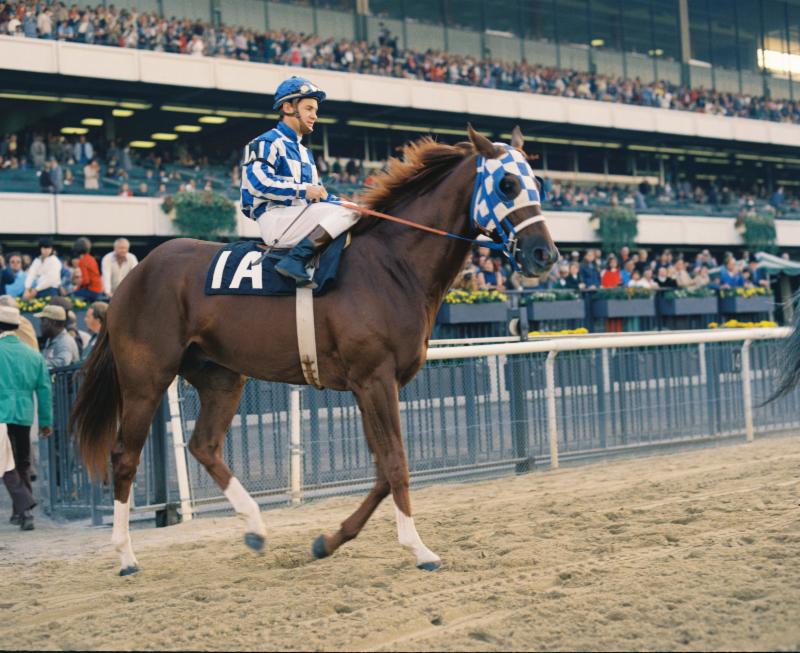 Secretariat's Heart Size: Inside the Tremendous Machine