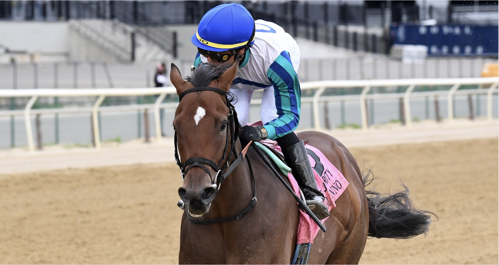 Book’em Danno headlines a strong G1 Woody Stephens presented by Mohegan