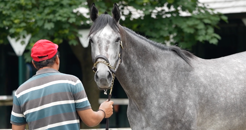 Batten Down works at Saratoga with G1 Belmont Stakes status not ...